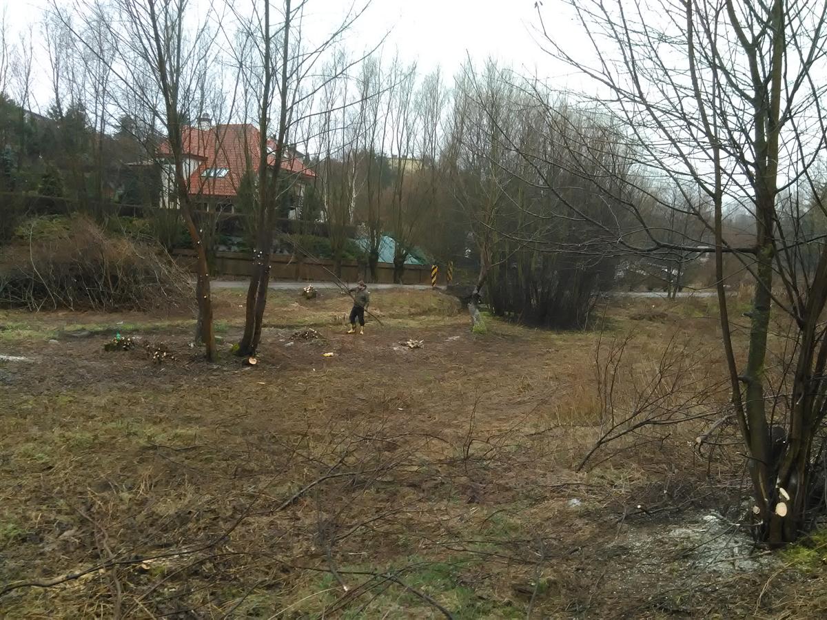 wycinka krzaków
